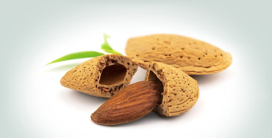 Almond