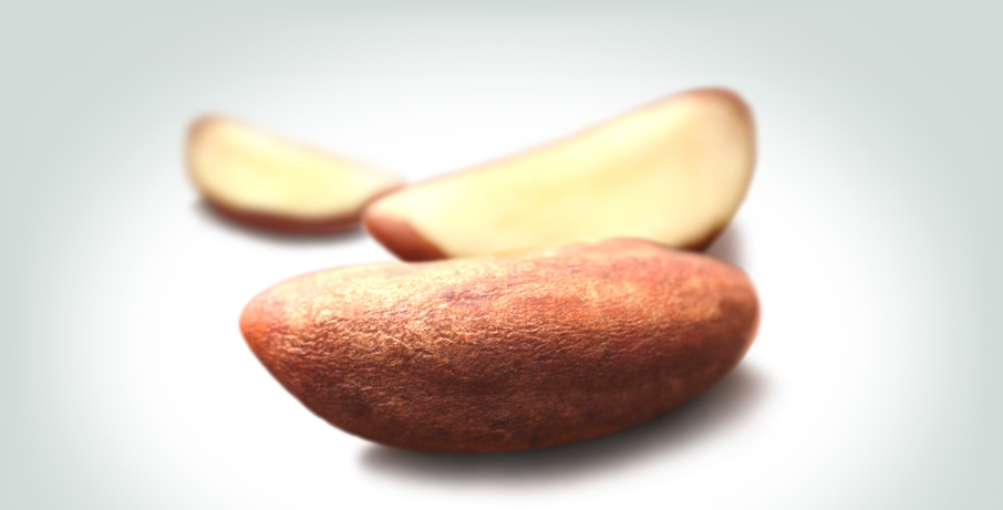 Brazil Nuts