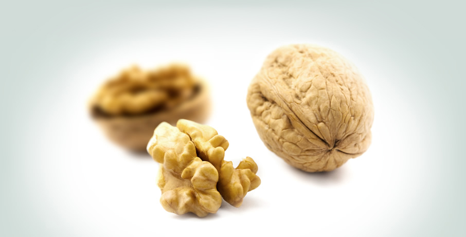 Walnut