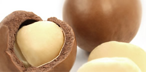 Macadamia