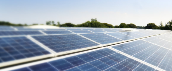 Sustainability and protecting the environment and the earths climate